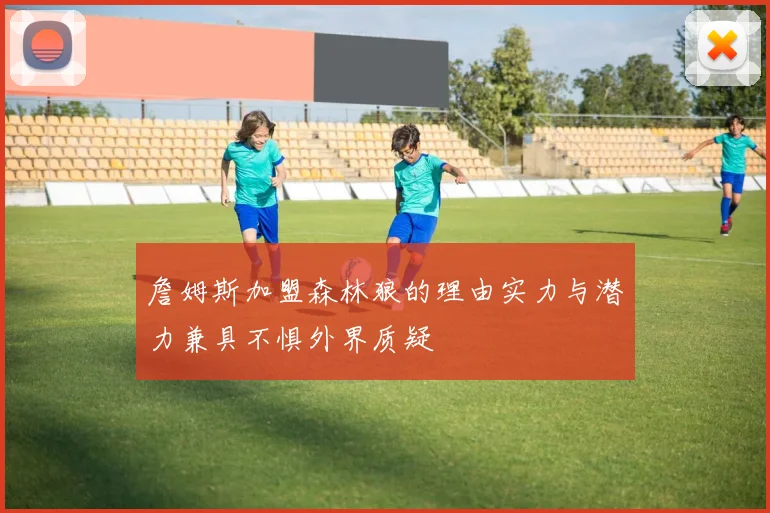 詹姆斯加盟森林狼的理由实力与潜力兼具不惧外界质疑