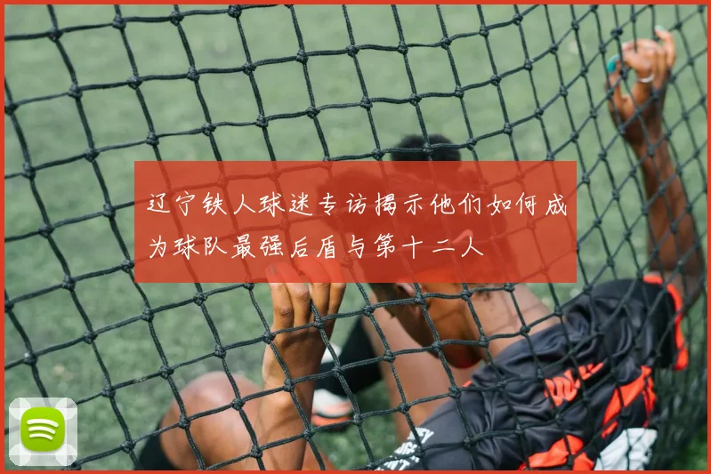 辽宁铁人球迷专访揭示他们如何成为球队最强后盾与第十二人