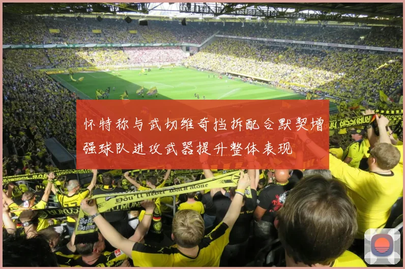 怀特称与武切维奇挡拆配合默契增强球队进攻武器提升整体表现