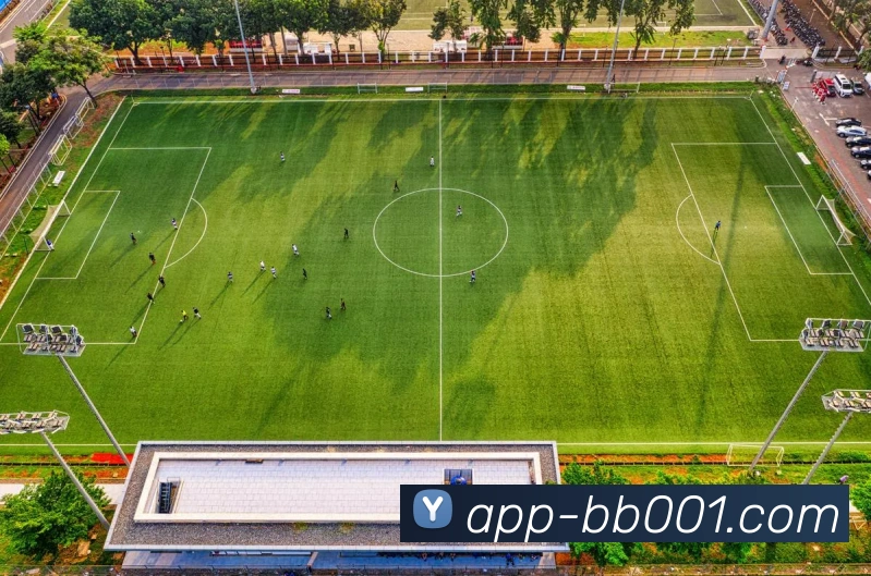 BB体育APP 封面图